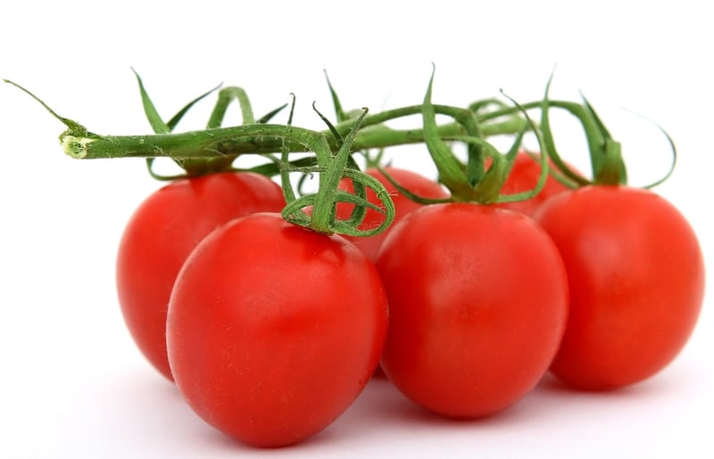 Healthy Food Choices